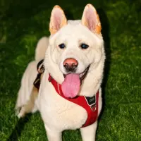 Adopta a Hera