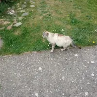 Adopta a Rita