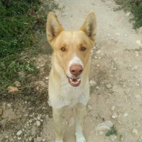 Adopta a Argos