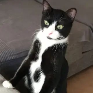Bruce