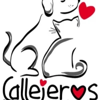 Callejeros Buscando Hogar