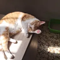 Adopta a Luna