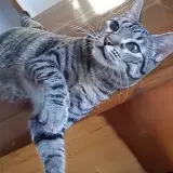 Adopta a Arte