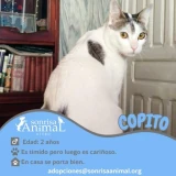 Adopta a Copito