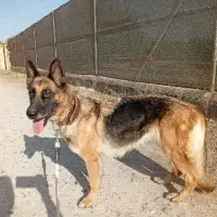 Adopta a Mora