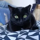 Adopta a Valeria