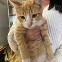 Adopta a Zeus