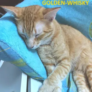 Golden