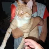Adopta a Mike