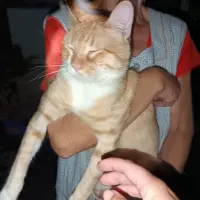 Adopta a Mike
