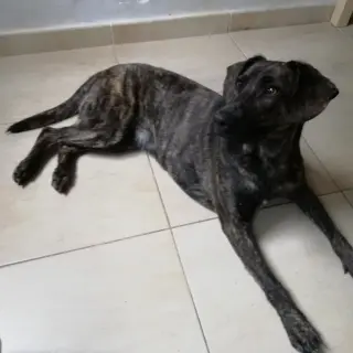 Aby
