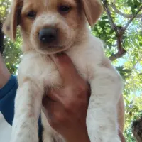 Adopta a Maria Elena