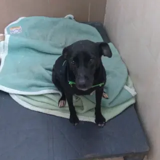 Marcos