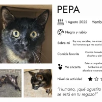 Adopta a Pepa