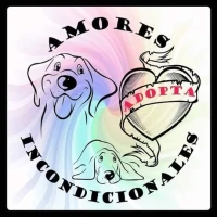 Amores Incondicionales