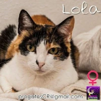 Adopta a Lola