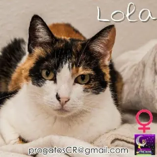 Lola