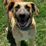 Adopta a Jana