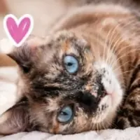 Adopta a Pitufina