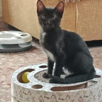 Adopta a Afrodita