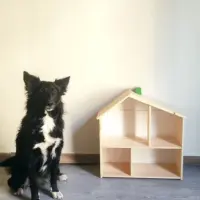 Adopta a Pelusa