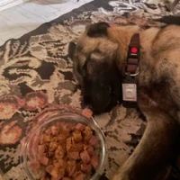 Adopta a Pedro Valiente