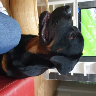 Ragnar