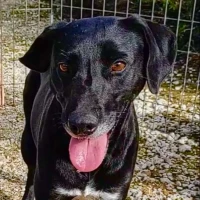 Adopta a Nora