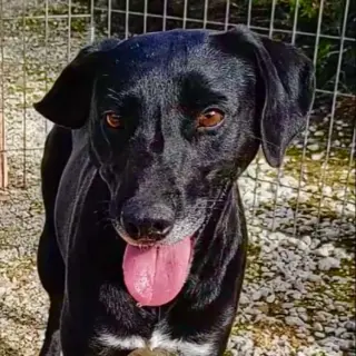 Nora