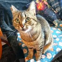 Adopta a Zuru Eva