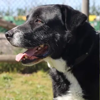 Zeus