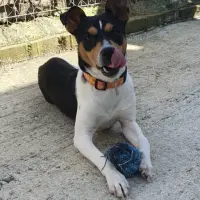 Adopta a Naïm