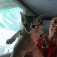 Adopta a Horus
