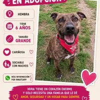 Adopta a Mina