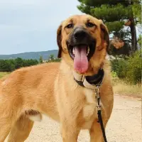 Adopta a Caracol