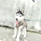 Adopta a Esponjita