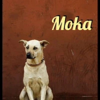Adopta a Moka