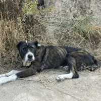 Adopta a Yaya María