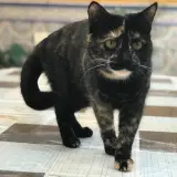 Adopta a Rubi