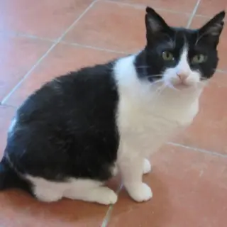 Gabriela
