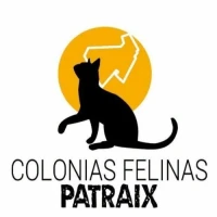 Colonias Felinas Patraix