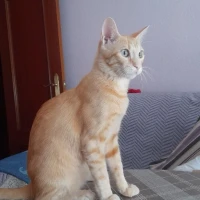 Adopta a Beatriz Carpintero Serrano