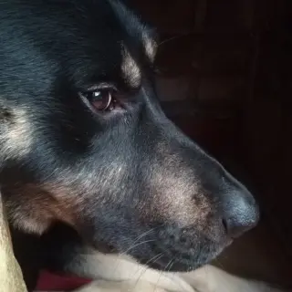 Kay
