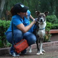 Adopta a Marla
