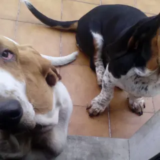 Edison y Katy