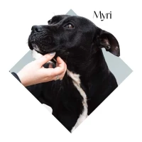 Adopta a Myri