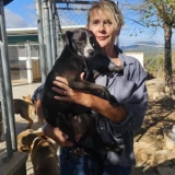 Adopta a Blacky, -Perrito 9 Kg Tlf 645978718