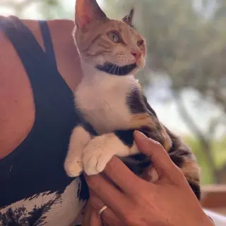 Brenda