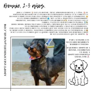 Bonnie