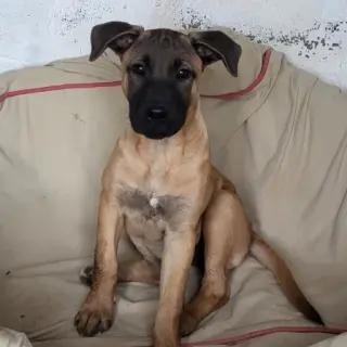 Iris❤️